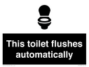 this-toilet-flushes-automatically~